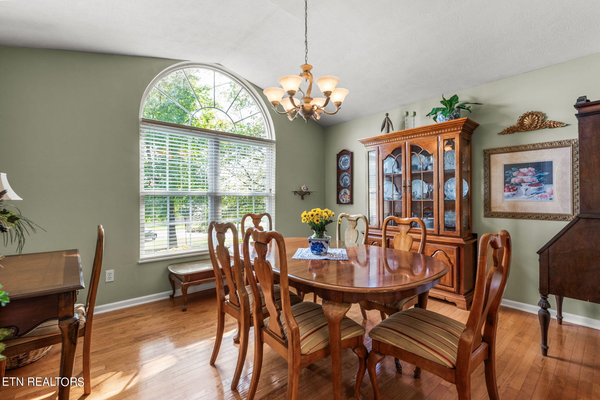 3507 Christenberry Drive Maryville TN 37801
