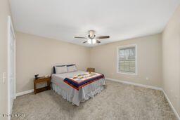 15 Eastwood Lane Pikeville TN 37367