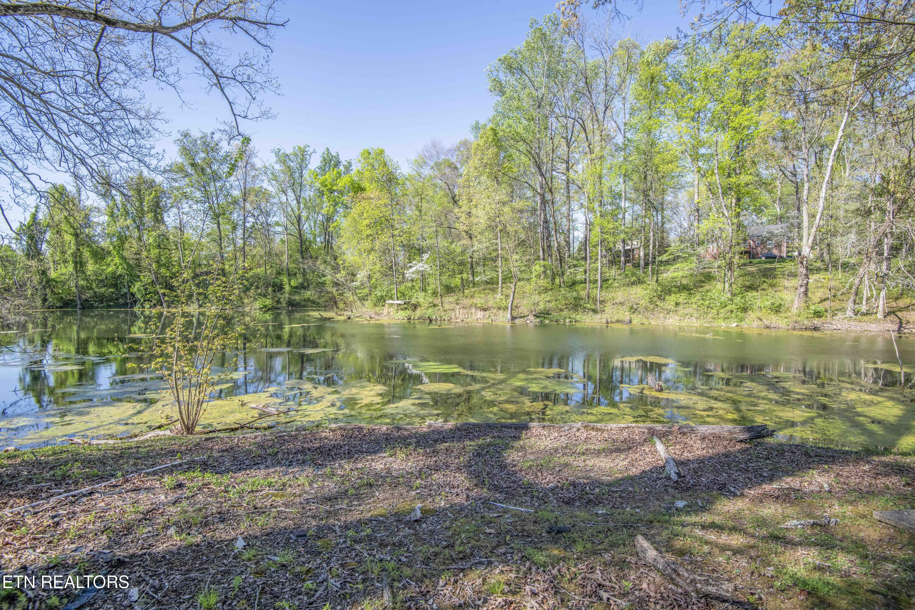 715 Lake Forest Drive Knoxville TN 37920
