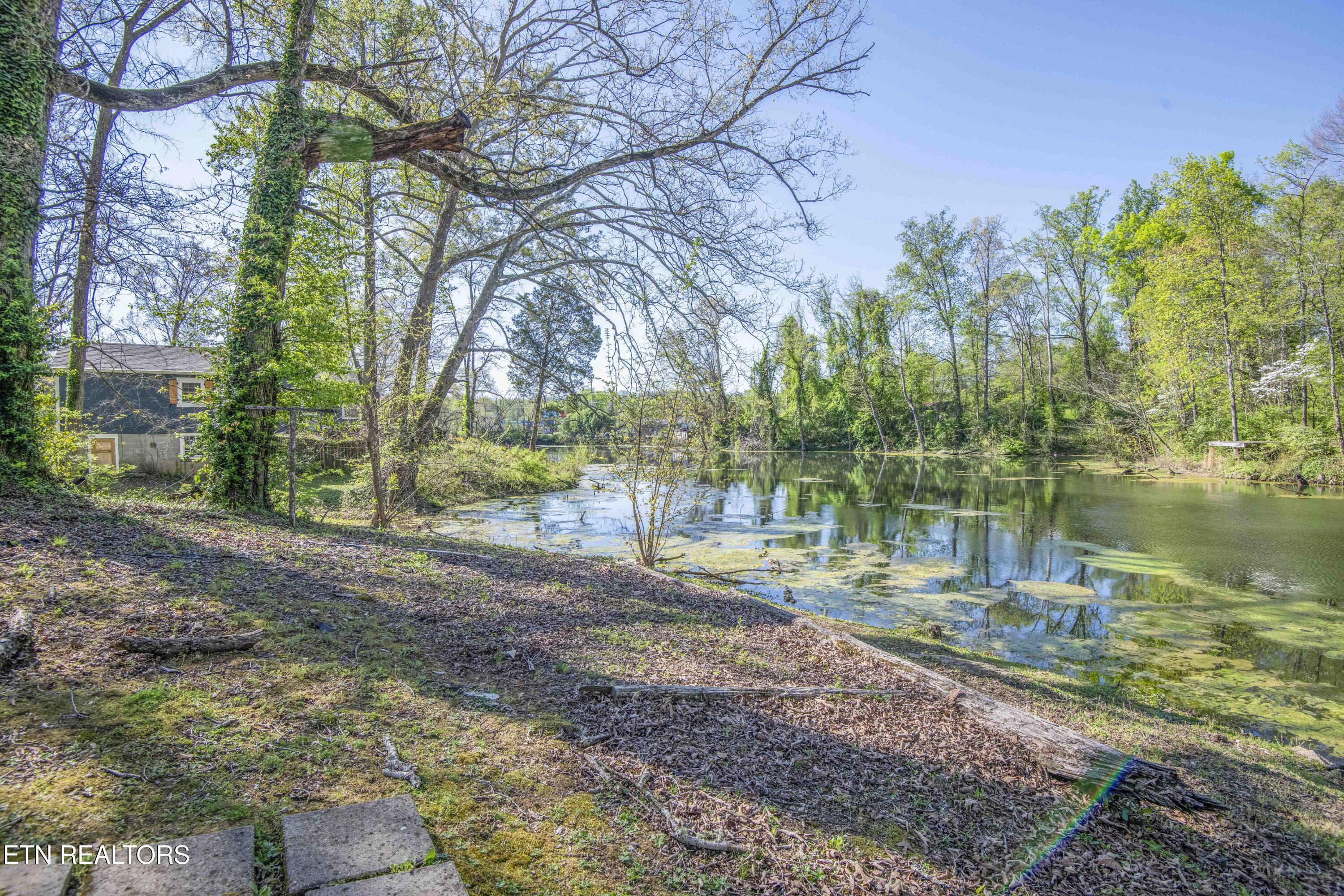 715 Lake Forest Drive Knoxville TN 37920