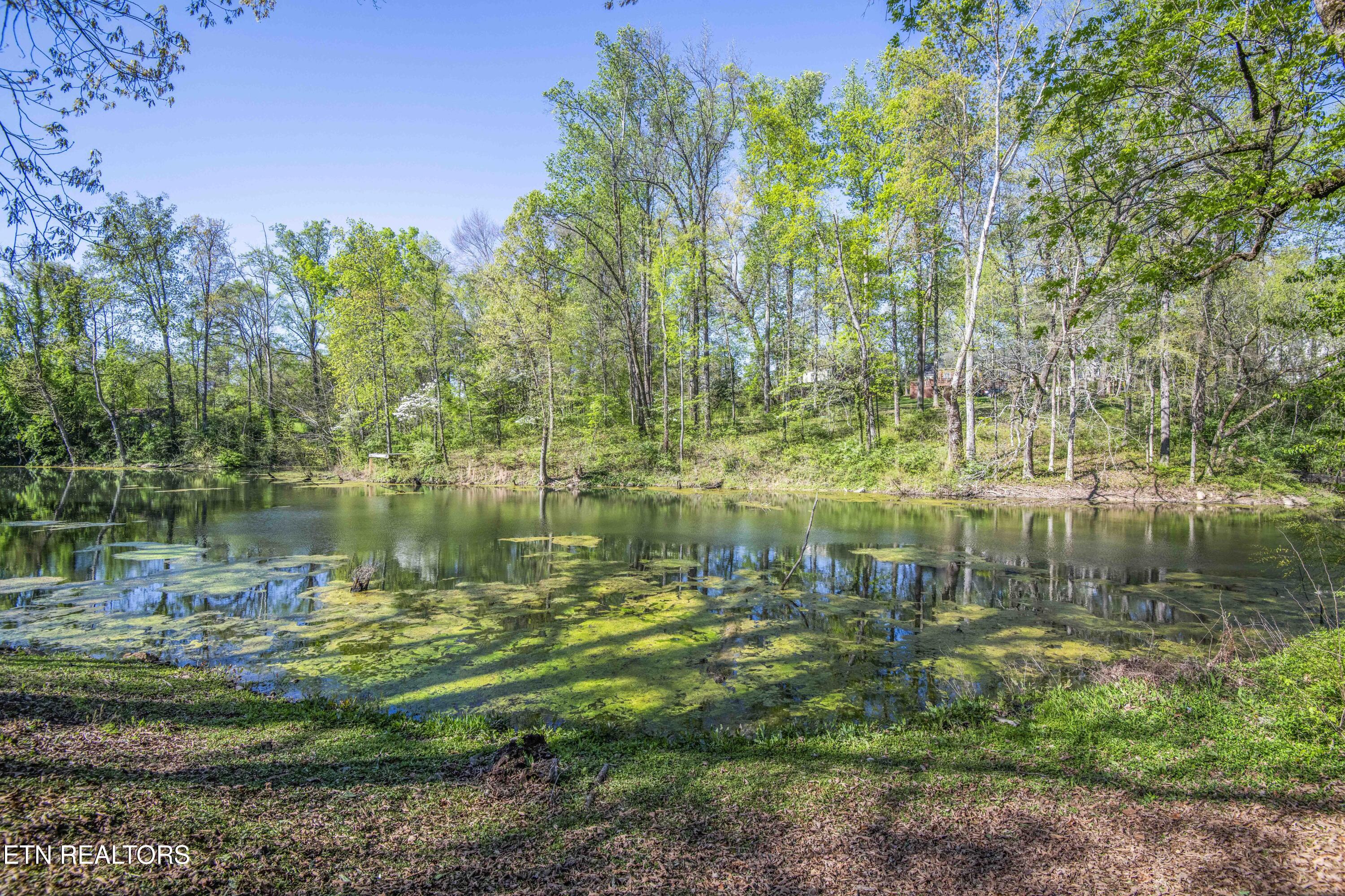 715 Lake Forest Drive Knoxville TN 37920
