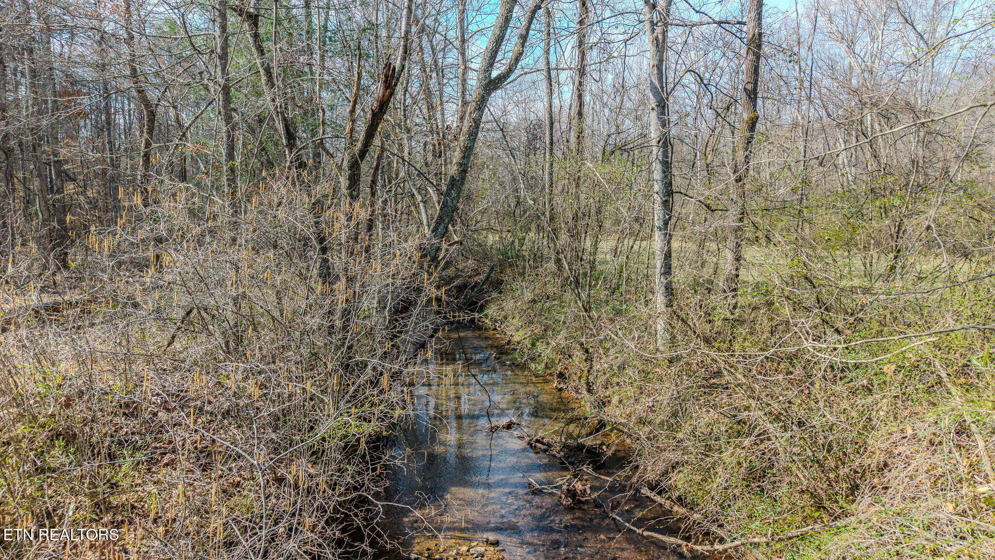 280 Cross Creek Lane Kingston TN 37763
