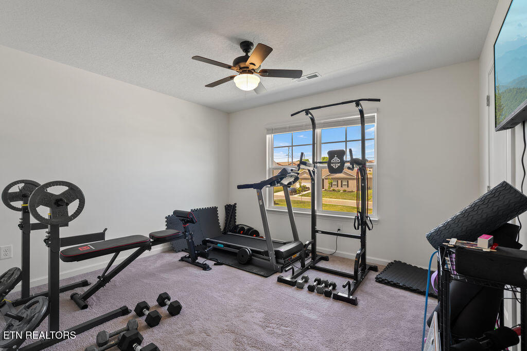 1170 Elery Drive Seymour TN 37865