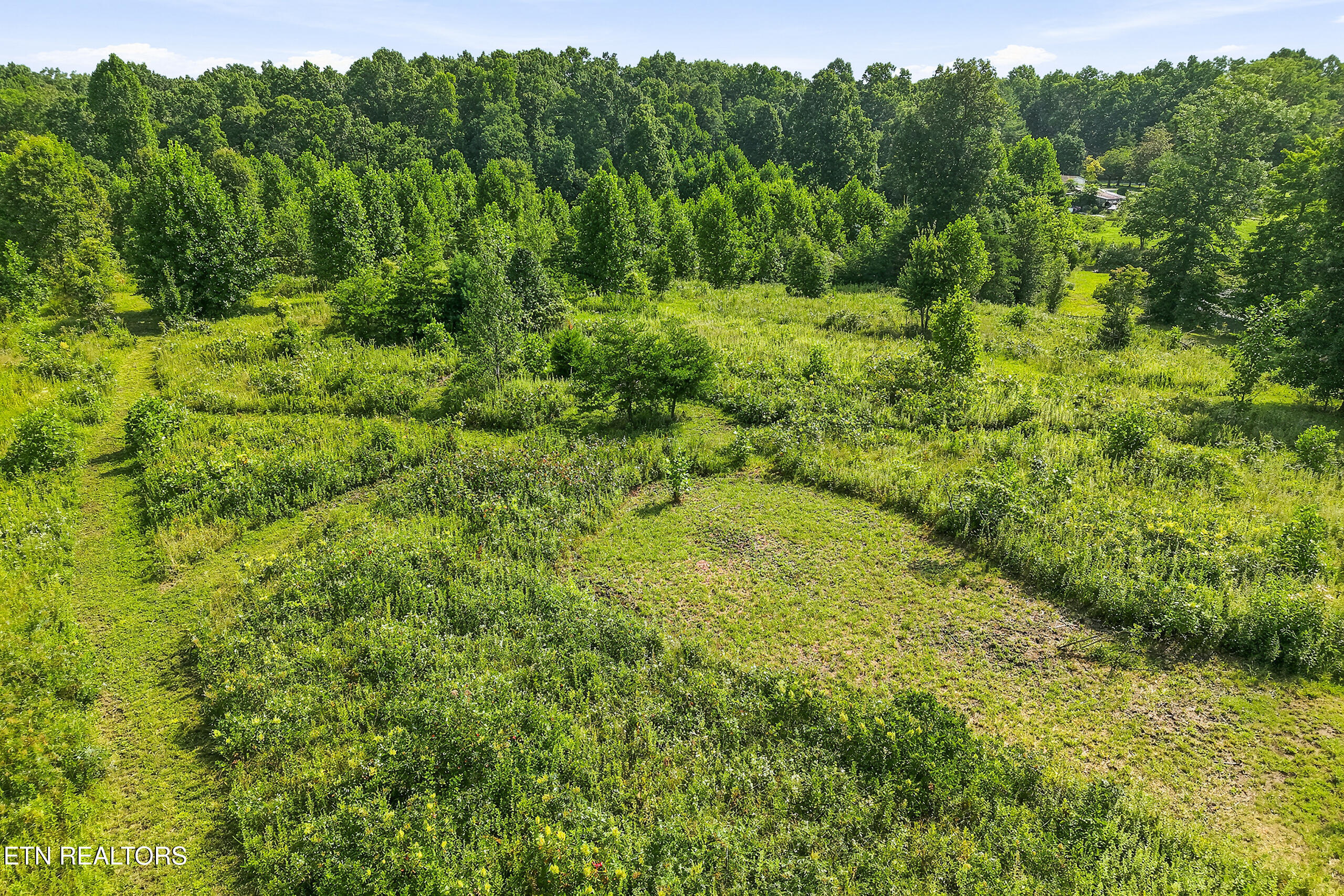1181 W Ravenscroft Road Sparta TN 38583