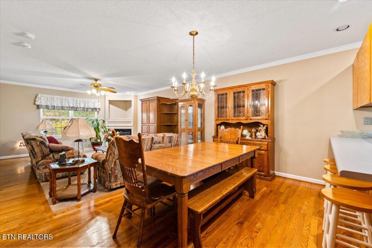 165 Elizabethton Way Clinton TN 37716