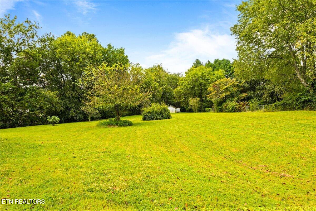 165 Elizabethton Way Clinton TN 37716