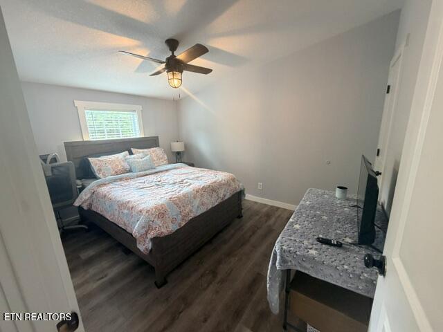 114 Chris Lail Way Maryville TN 37801