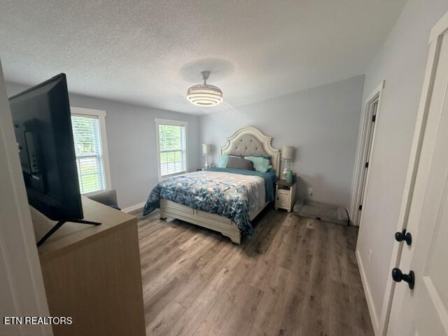 114 Chris Lail Way Maryville TN 37801