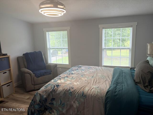 114 Chris Lail Way Maryville TN 37801