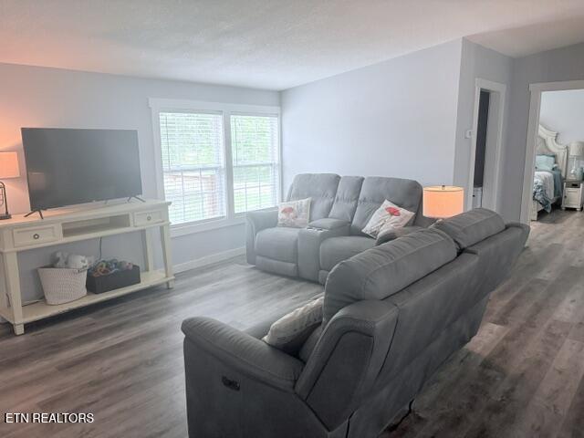 114 Chris Lail Way Maryville TN 37801