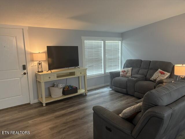 114 Chris Lail Way Maryville TN 37801