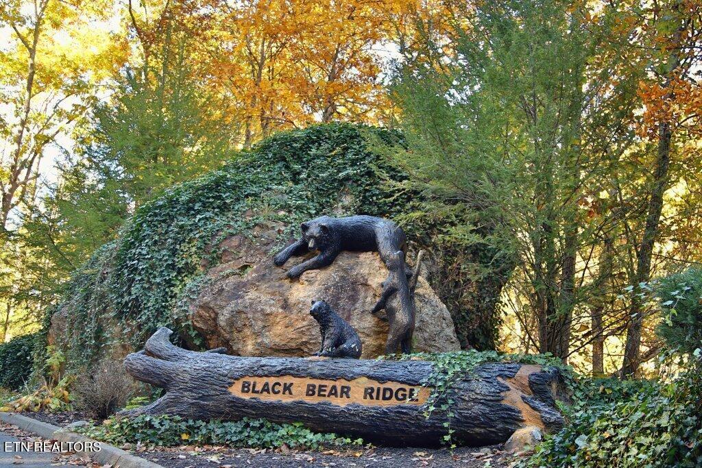 922 Black Bear Cub Way Sevierville TN 37862