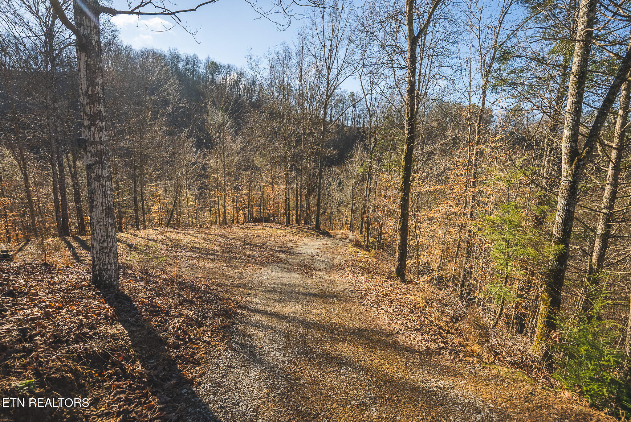 637 Jacobs Hollow Road Sneedville TN 37869