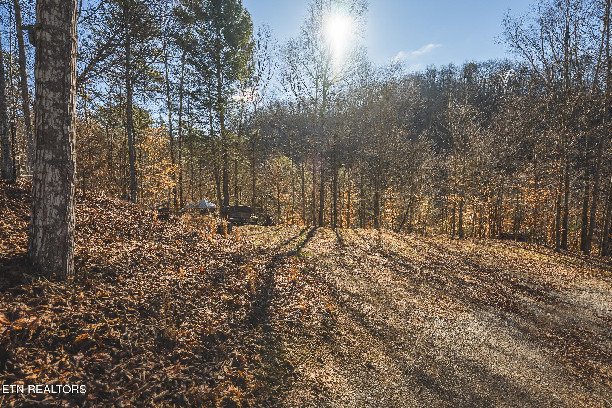 637 Jacobs Hollow Road Sneedville TN 37869