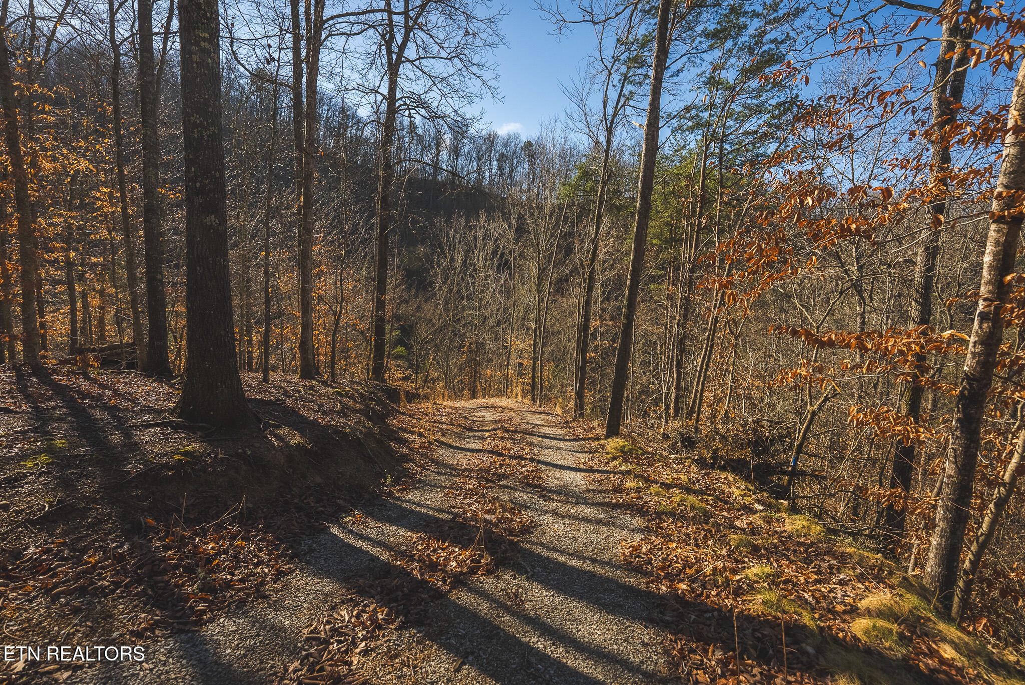 637 Jacobs Hollow Road Sneedville TN 37869