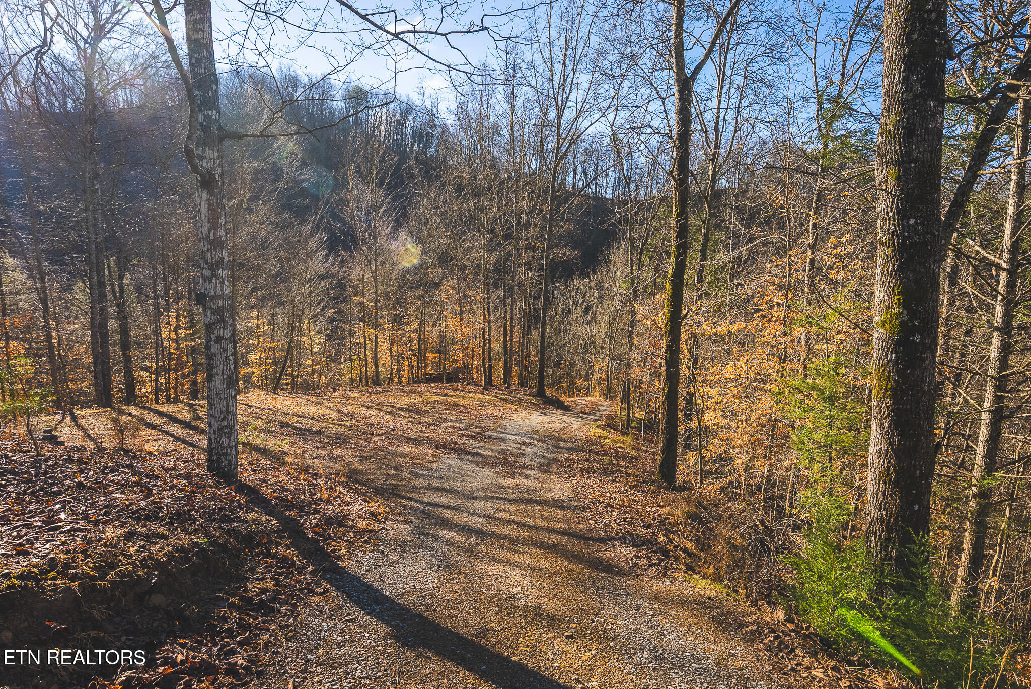 637 Jacobs Hollow Road Sneedville TN 37869