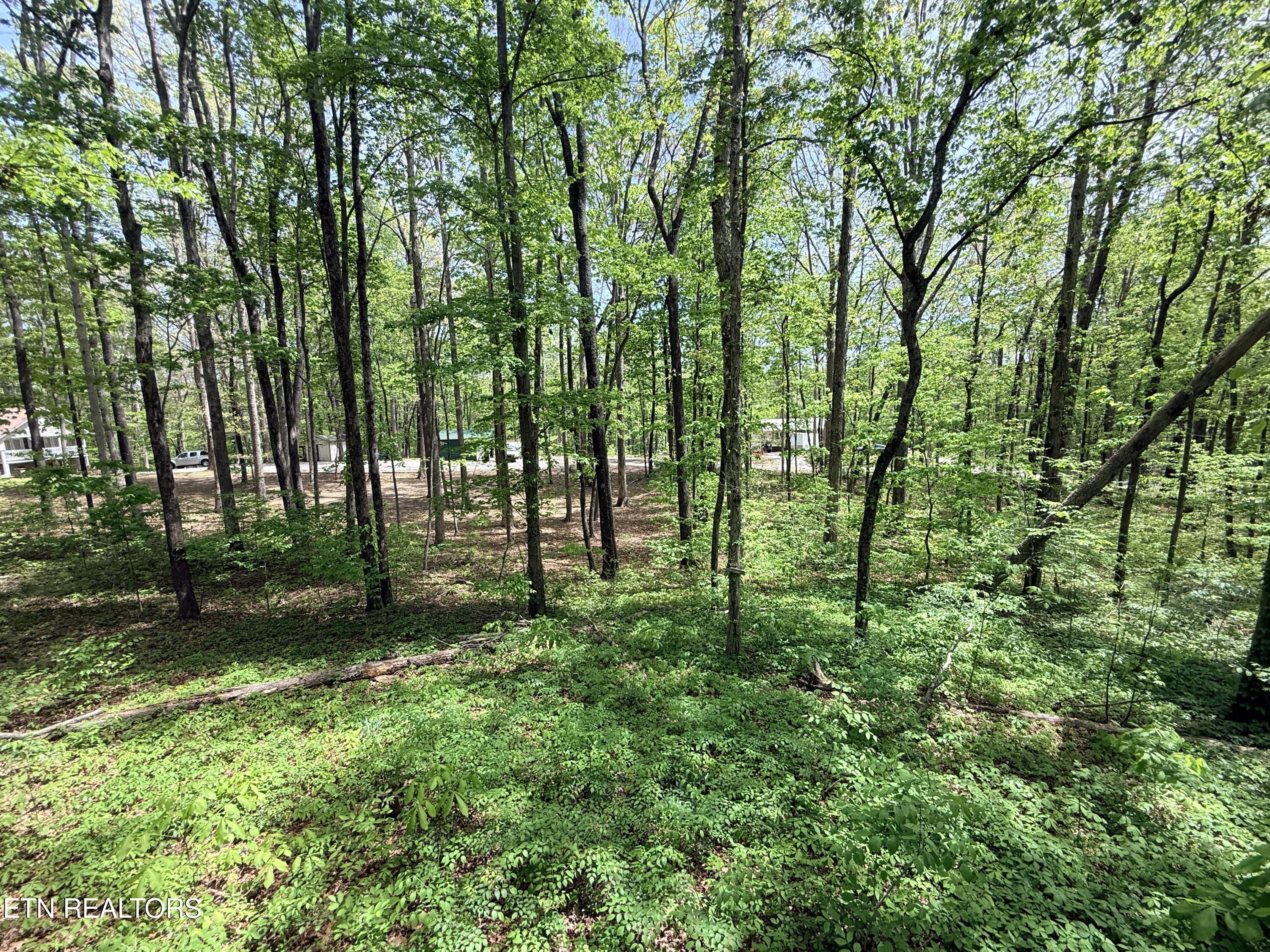 549 Yellow Cliff Estates Road Jamestown TN 38556