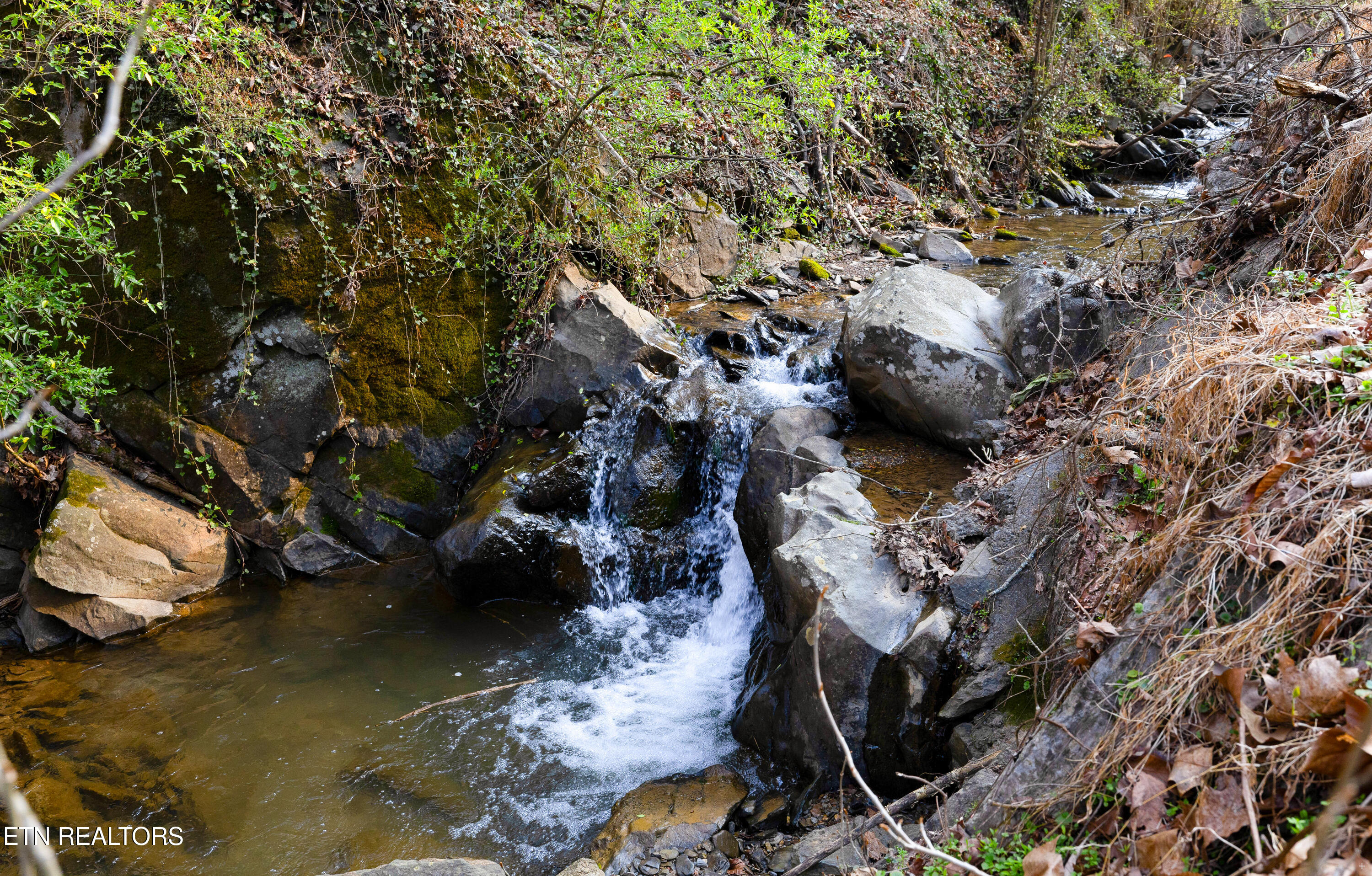 401 King Branch Road Sevierville TN 37876
