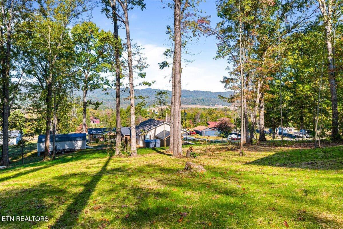 377 Summit Drive Speedwell TN 37870
