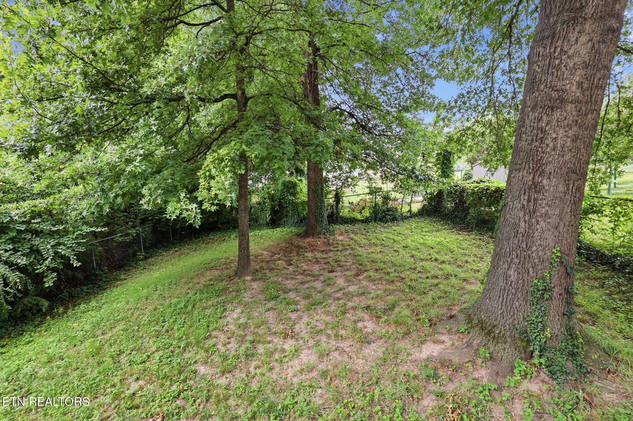 2447 Amber Street Knoxville TN 37917
