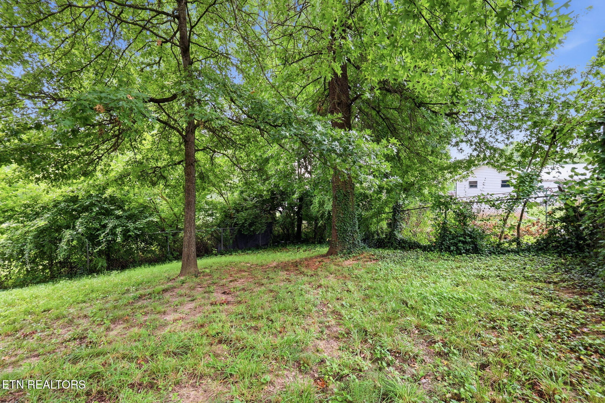 2447 Amber Street Knoxville TN 37917