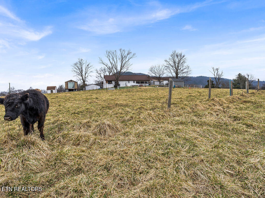10724 E Emory Road Luttrell TN 37779