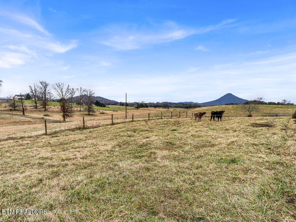 10724 E Emory Road Luttrell TN 37779
