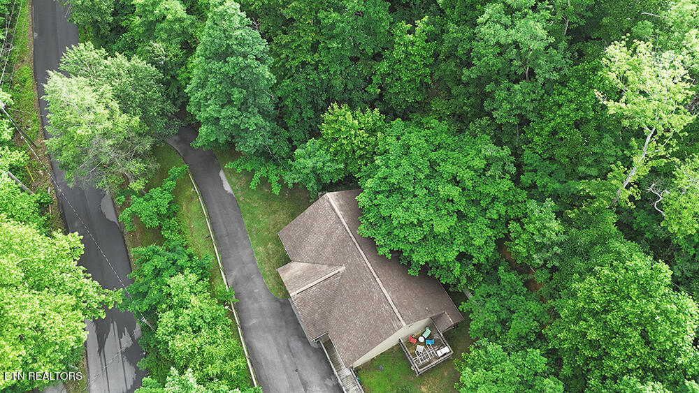 416 Forrest Springs Drive Gatlinburg TN 37738