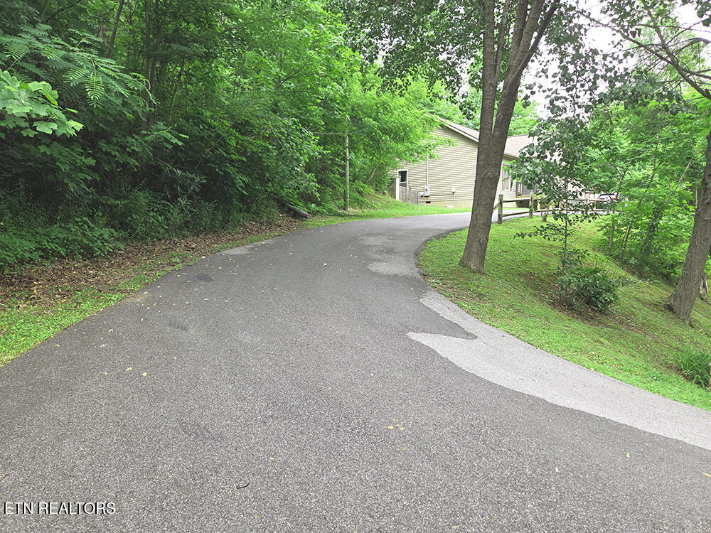 416 Forrest Springs Drive Gatlinburg TN 37738