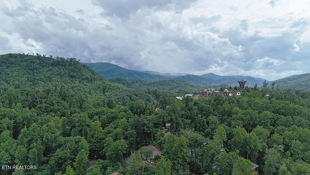 416 Forrest Springs Drive Gatlinburg TN 37738