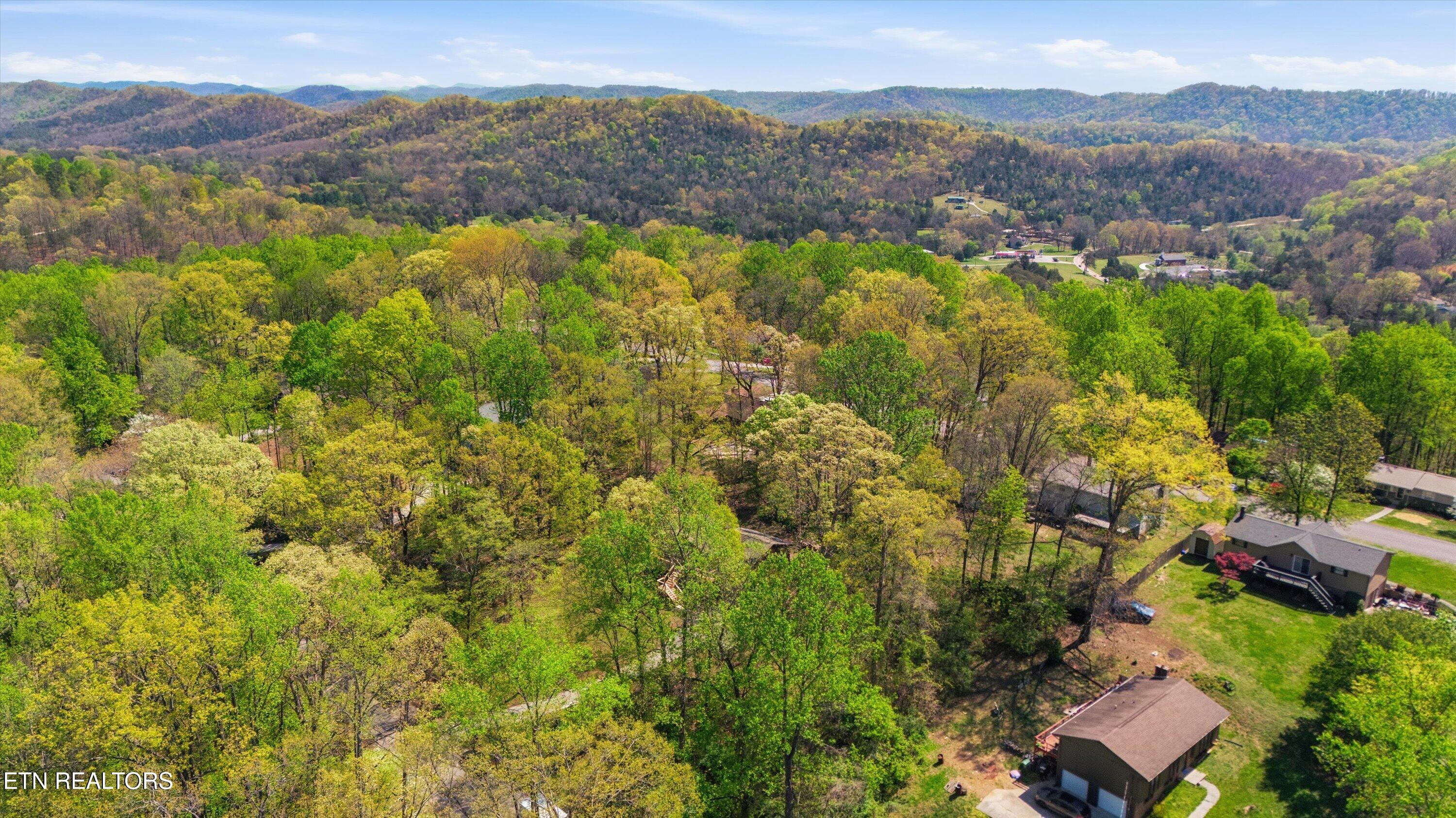 3308 Gumstand Drive Powell TN 37849