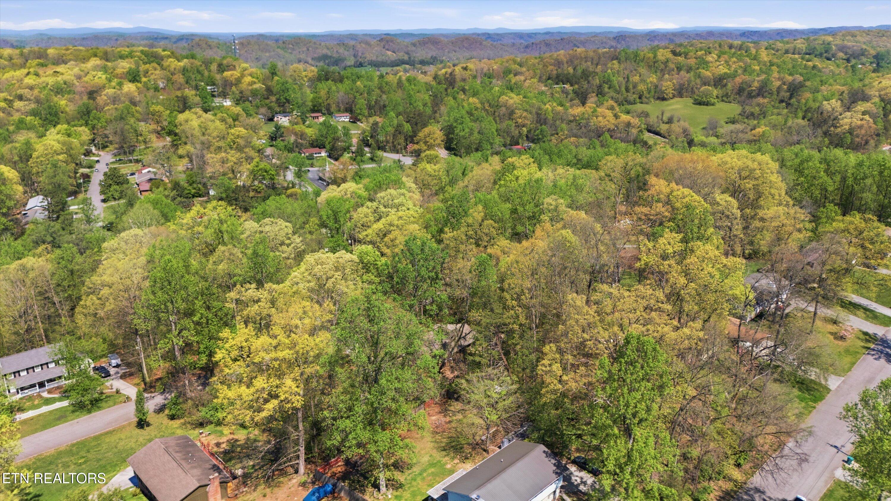 3308 Gumstand Drive Powell TN 37849