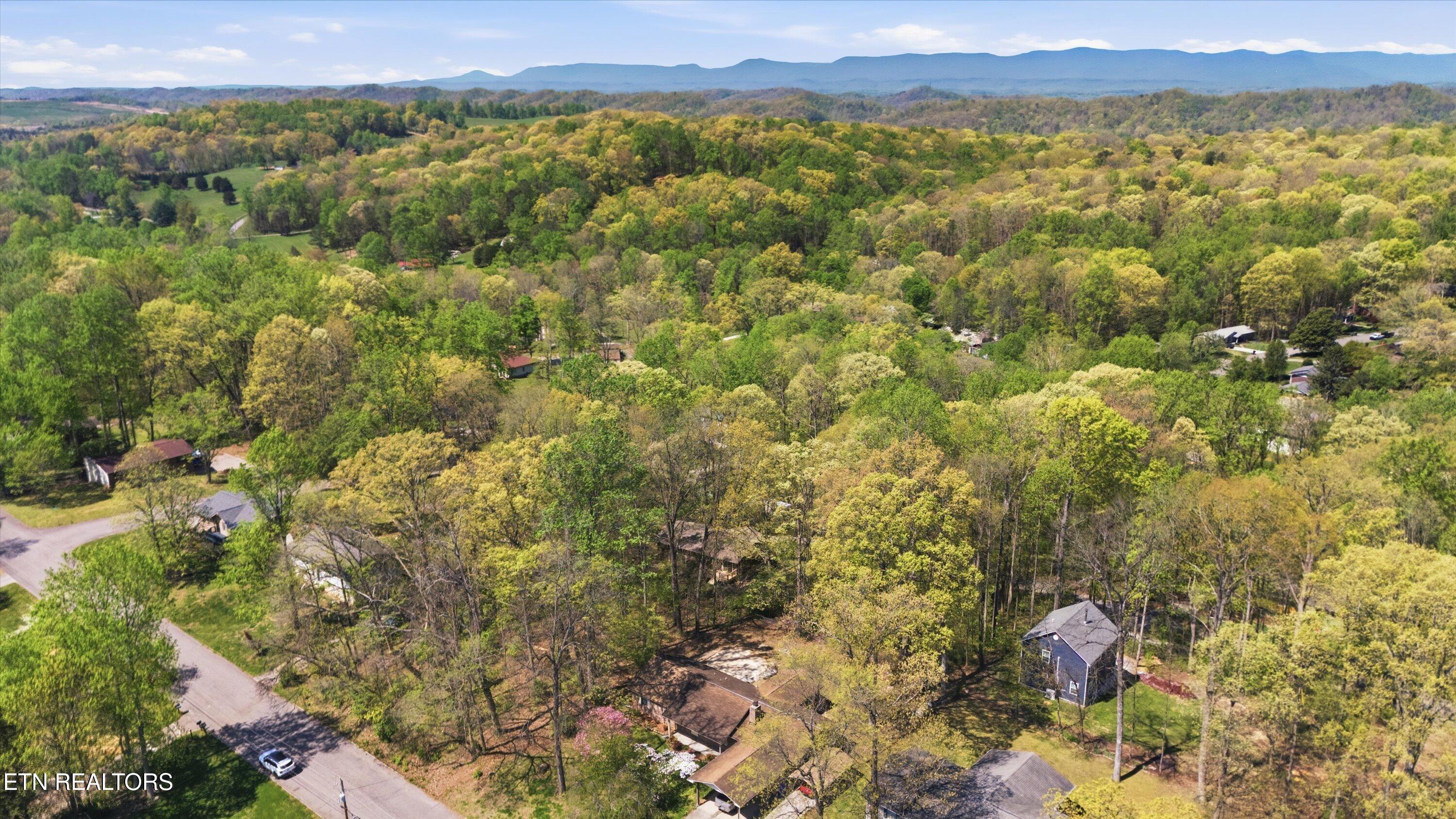 3308 Gumstand Drive Powell TN 37849