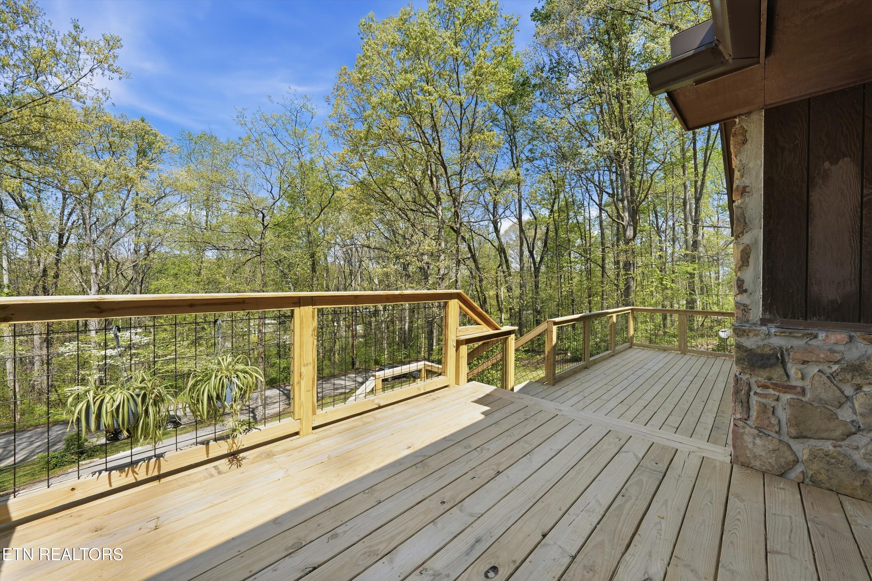 3308 Gumstand Drive Powell TN 37849