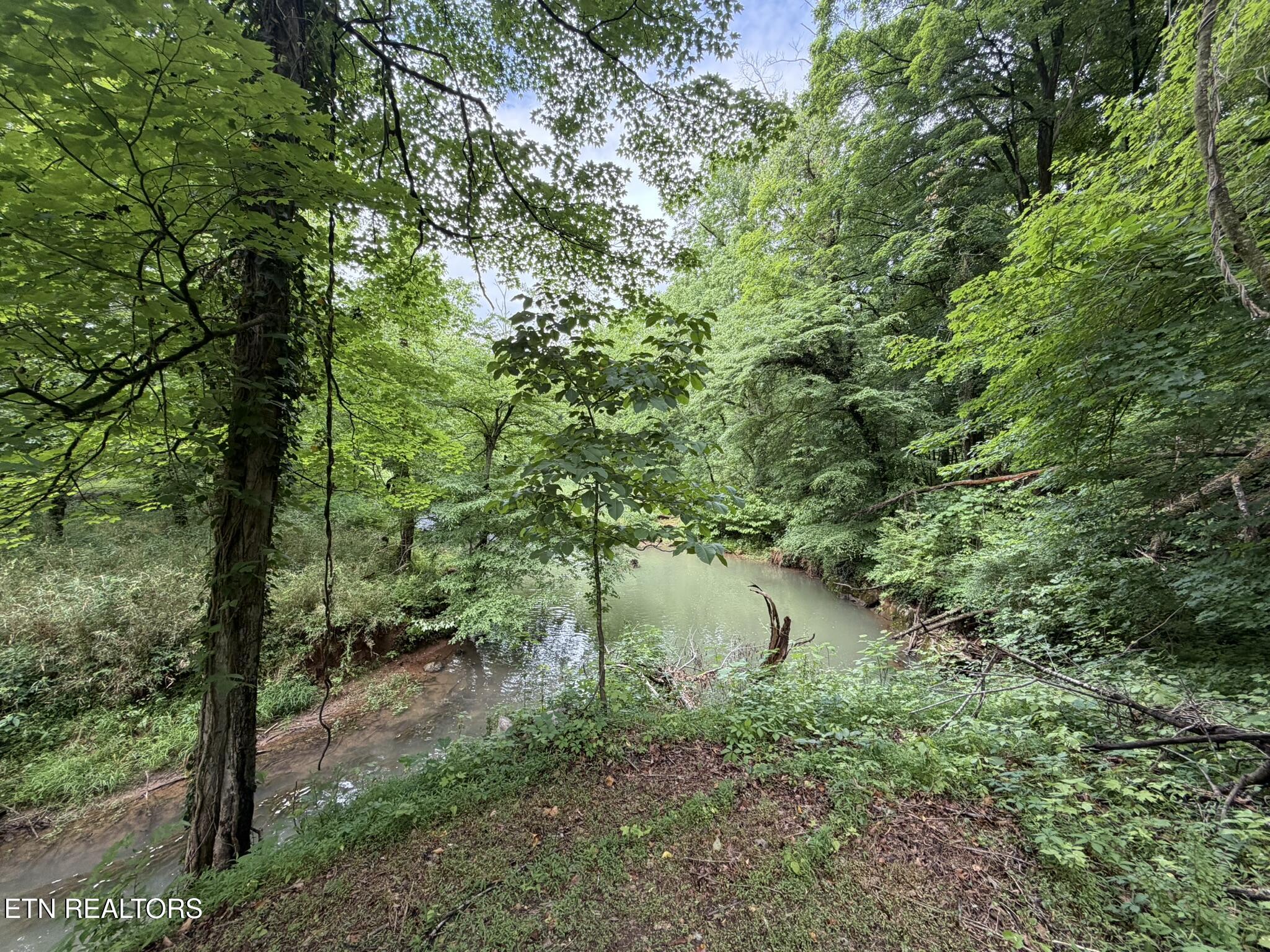 507 Short Street Athens TN 37303