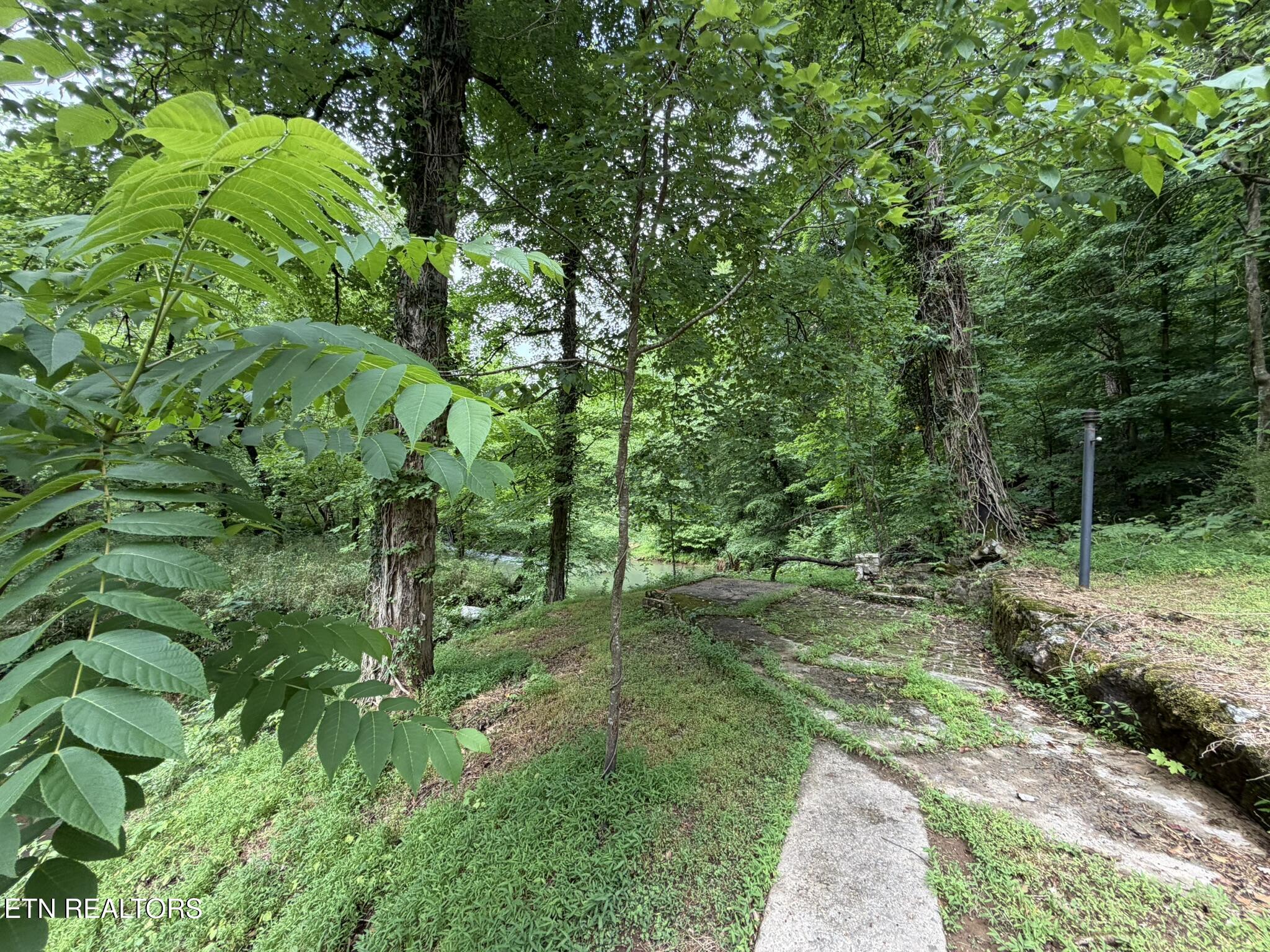 507 Short Street Athens TN 37303