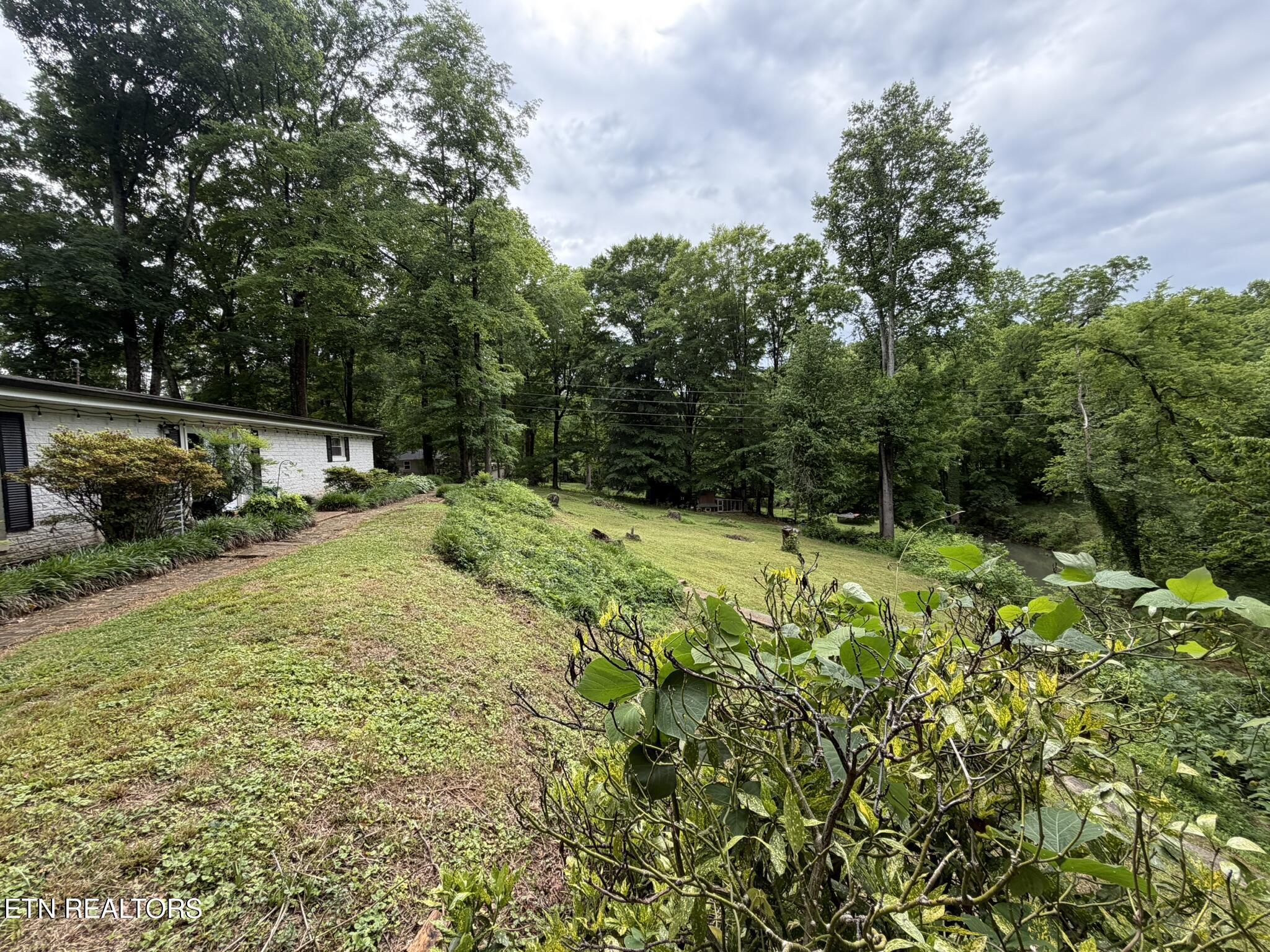 507 Short Street Athens TN 37303