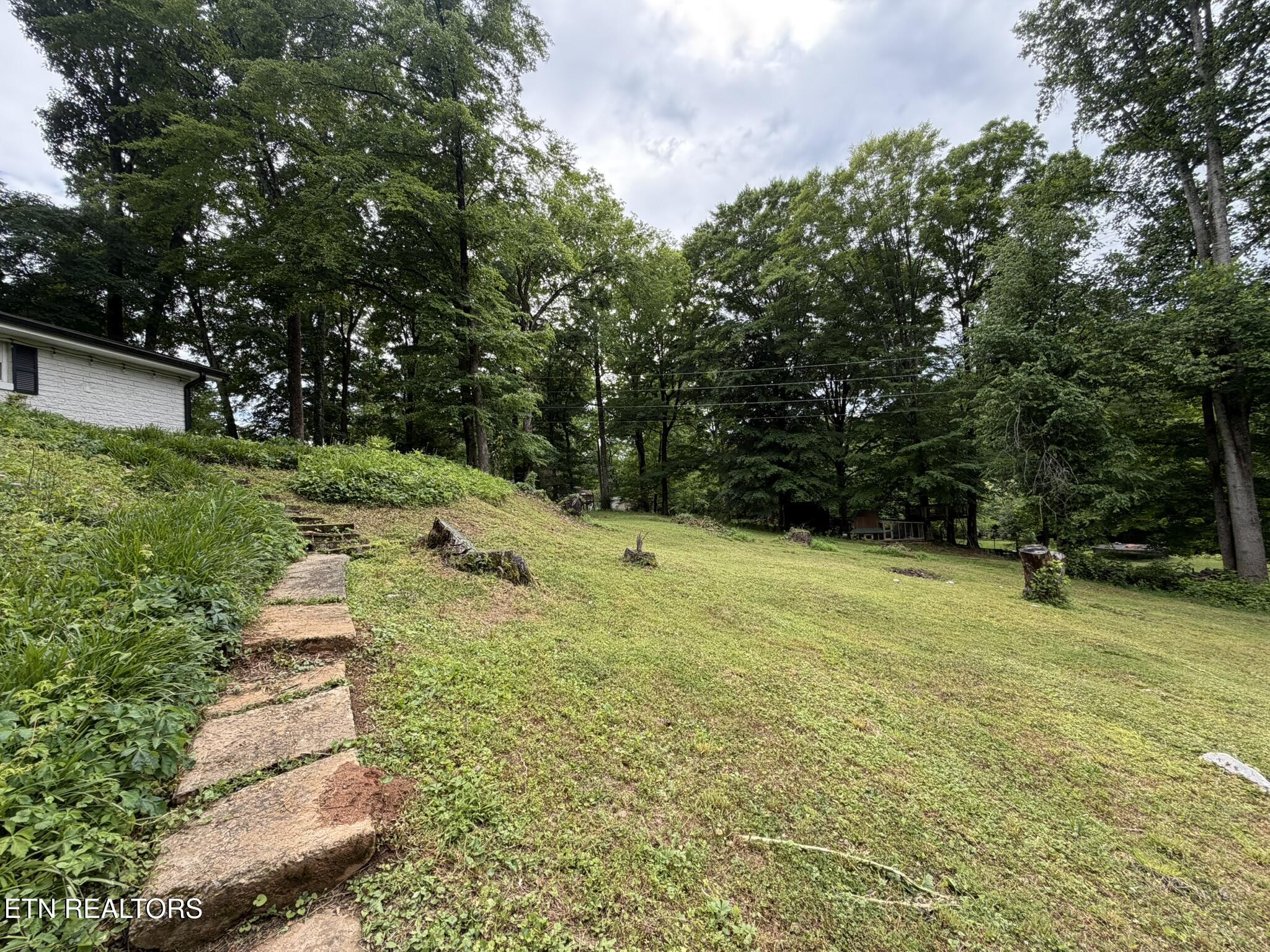 507 Short Street Athens TN 37303