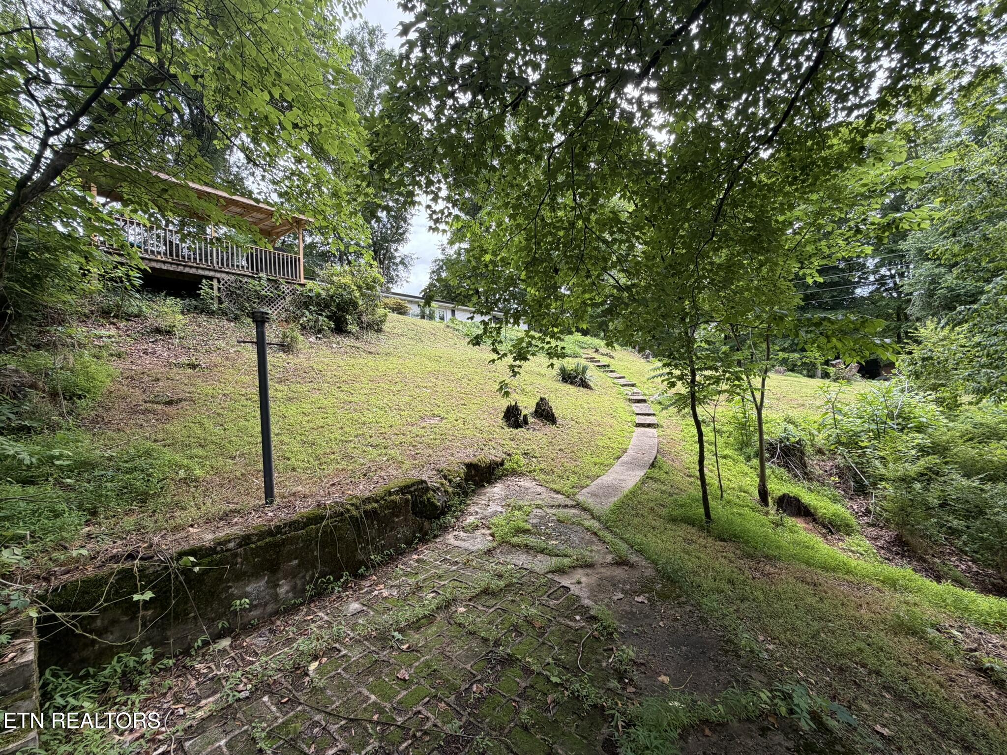 507 Short Street Athens TN 37303