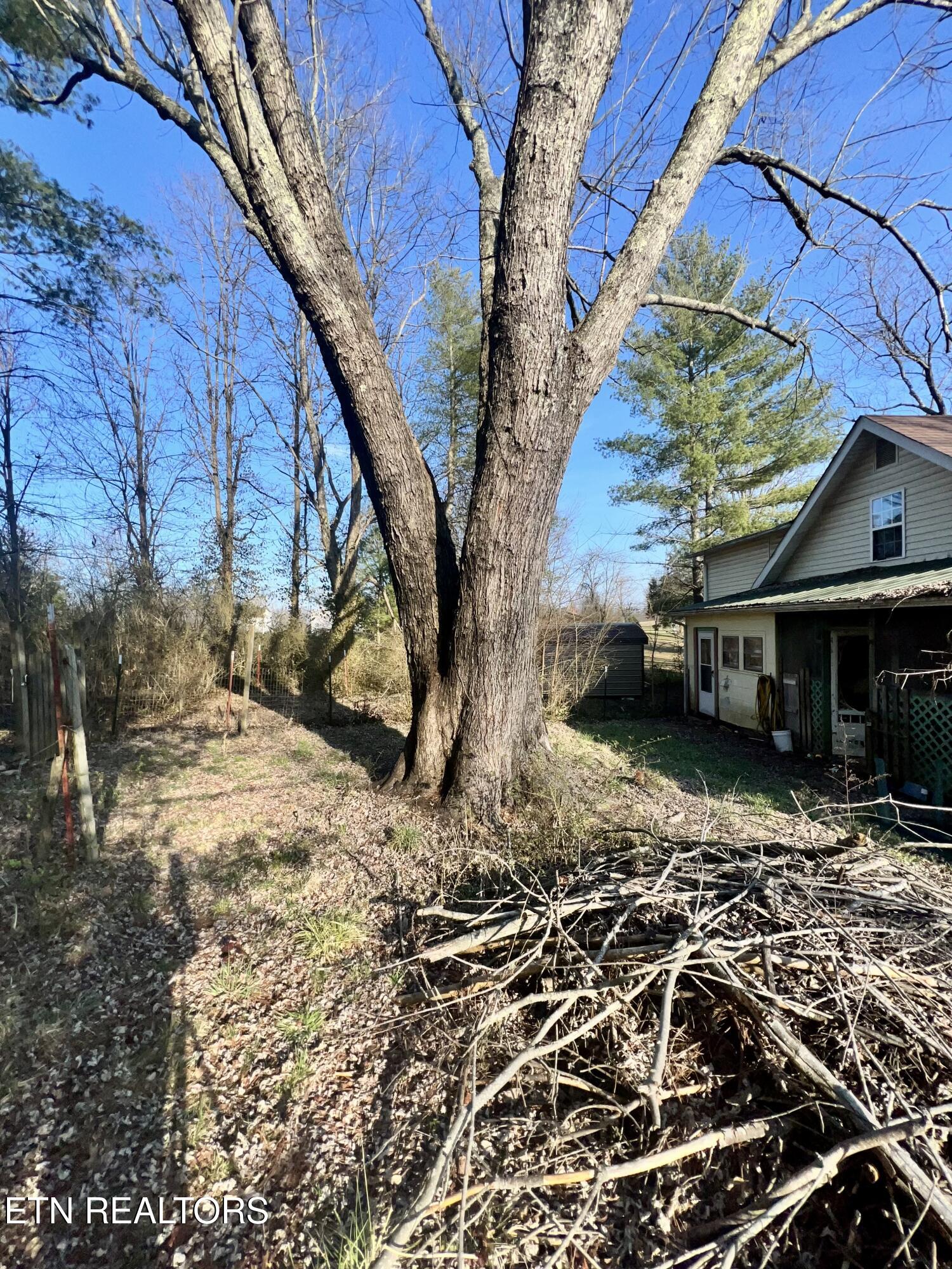 426 Rosedale Avenue Jamestown TN 38556
