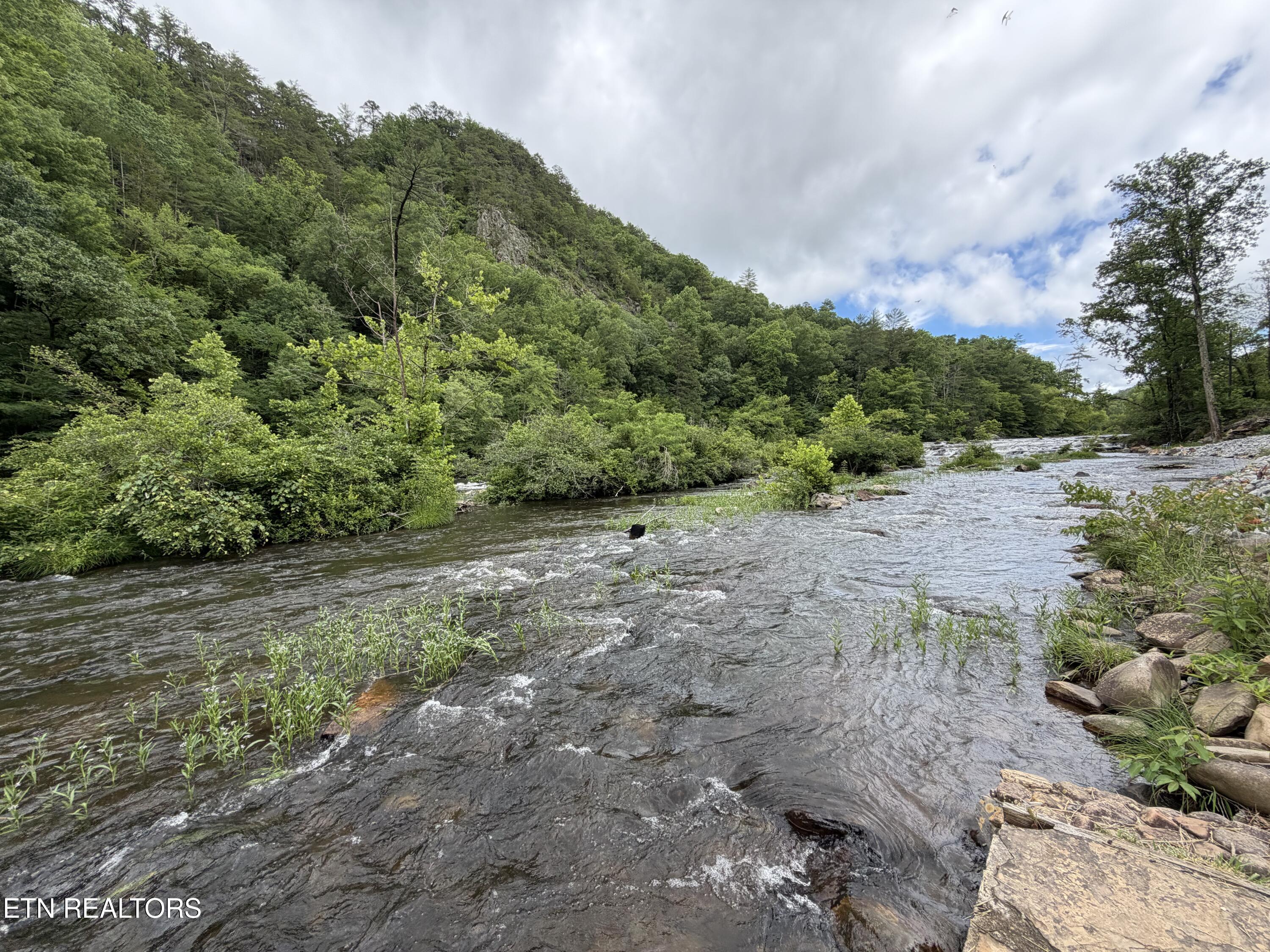 1667 Cherohala Skyway Tellico Plains TN 37385