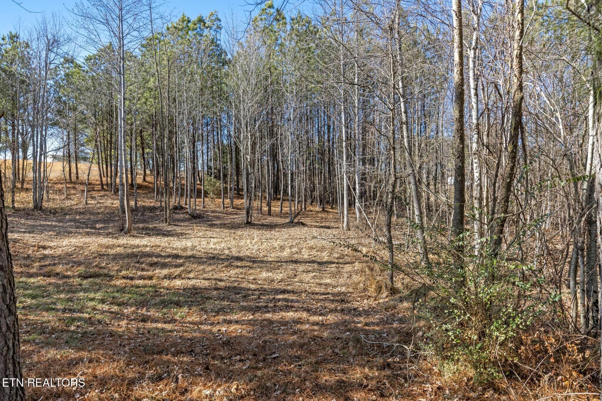 195 Fredonia Farm Road Dunlap TN 37327
