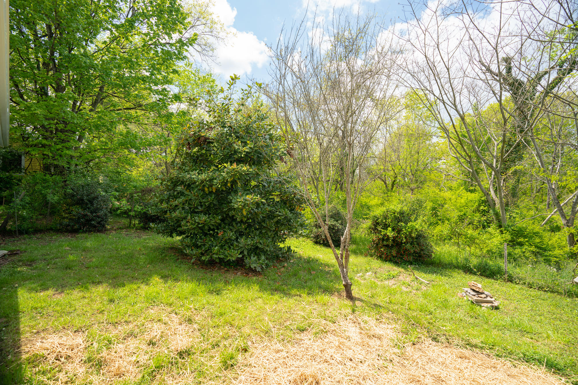 2519 Maple Drive Knoxville TN 37918