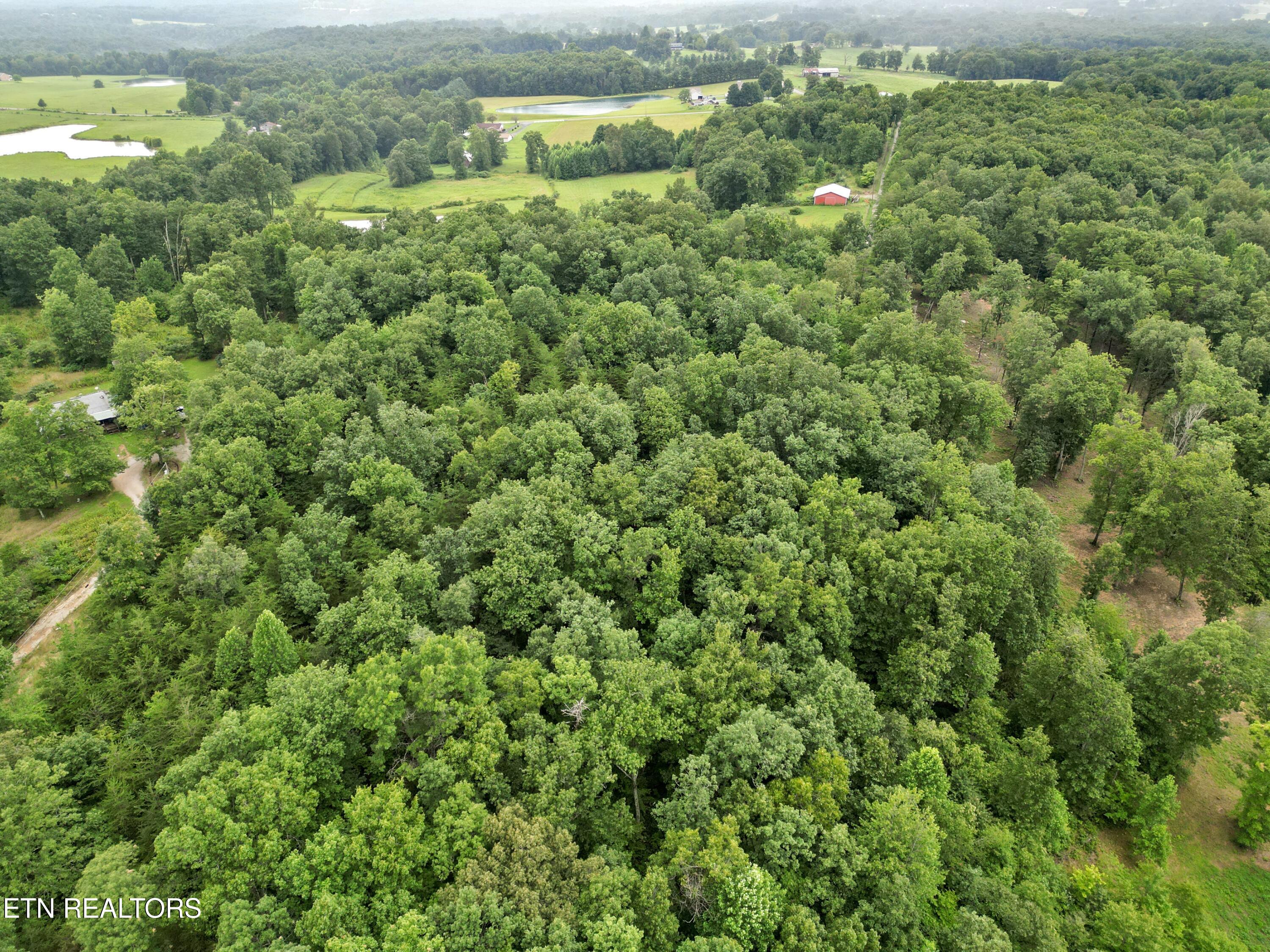 766 Wallop Lane Crossville TN 38571