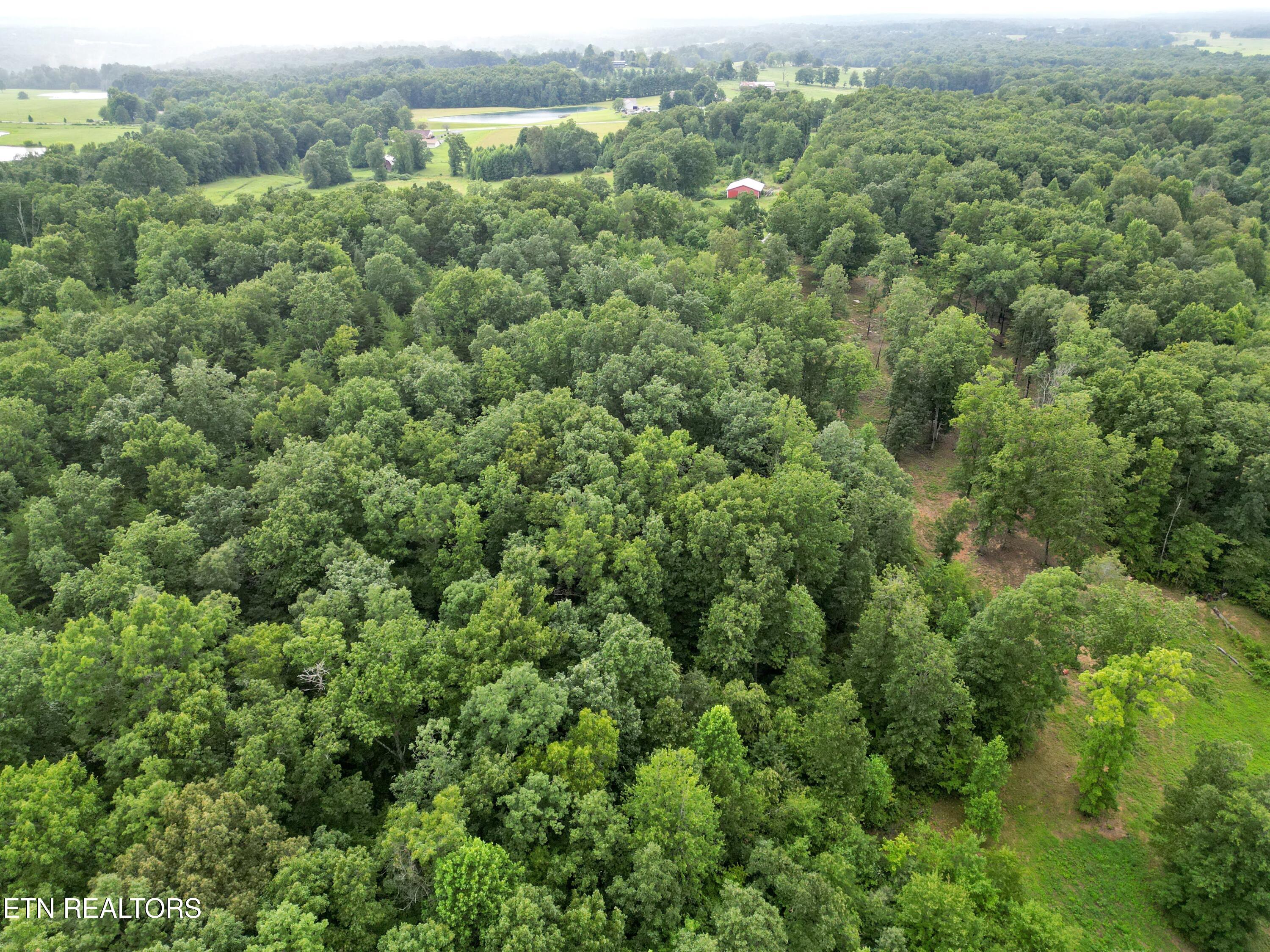 766 Wallop Lane Crossville TN 38571