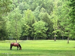 152 Ridge Point Road Jamestown TN 38556