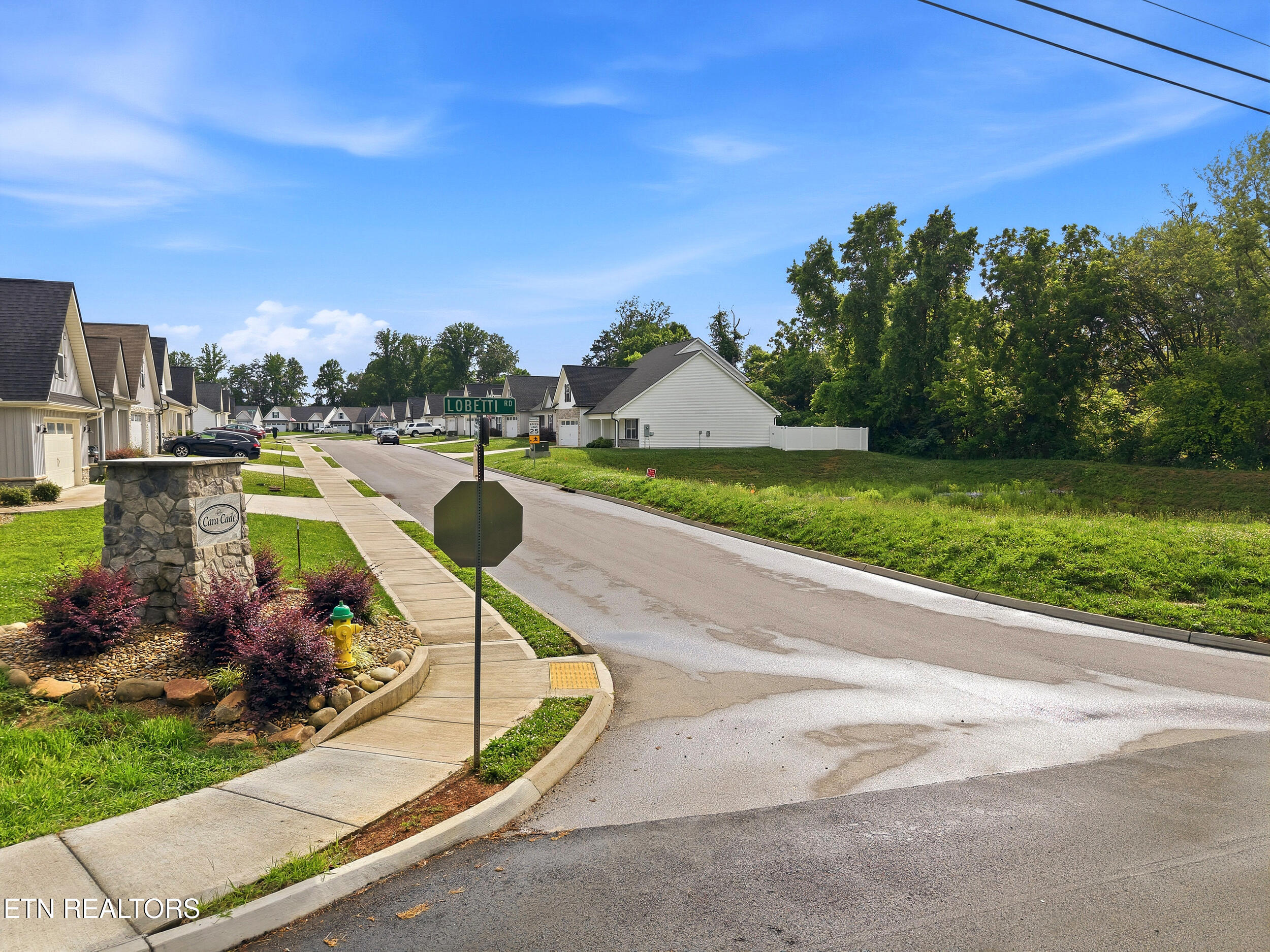 6513 Cara Cade Lane Knoxville TN 37931
