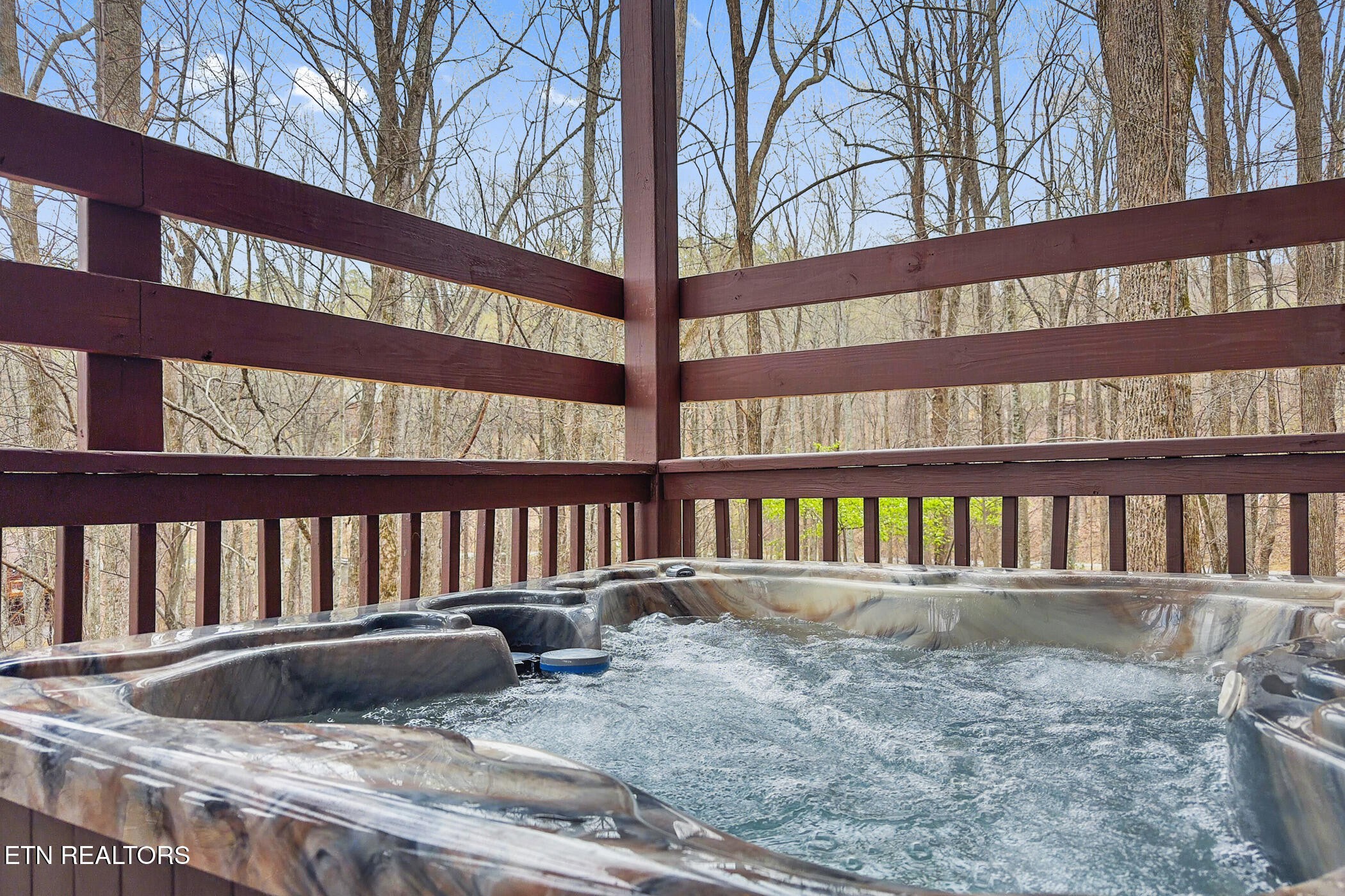 3175 Emerald Springs Loop Sevierville TN 37862