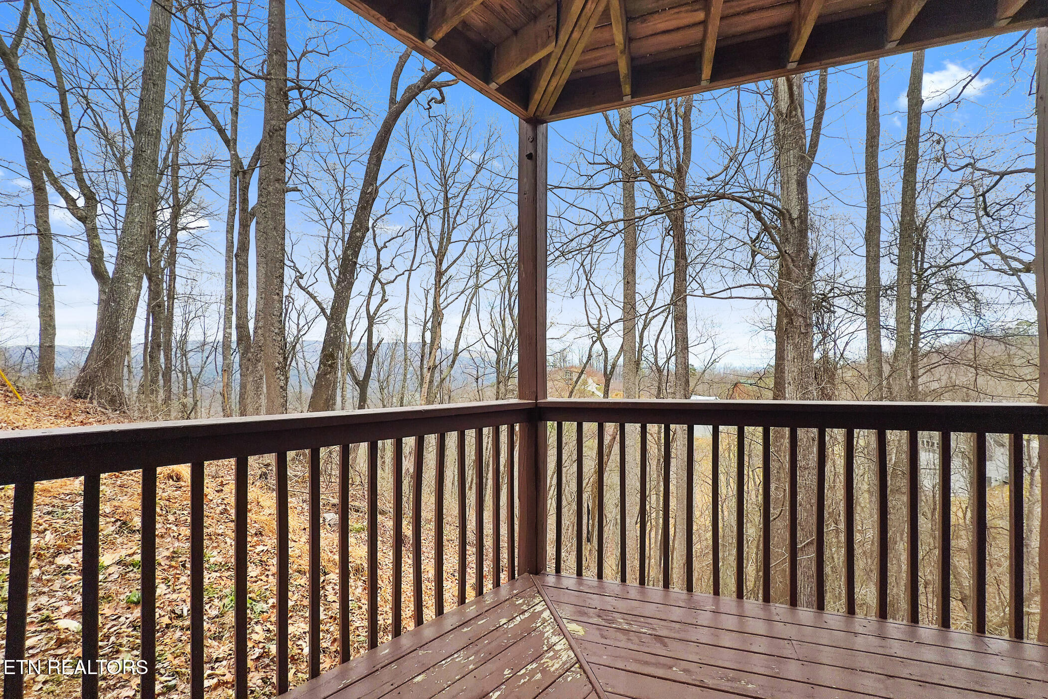 3175 Emerald Springs Loop Sevierville TN 37862
