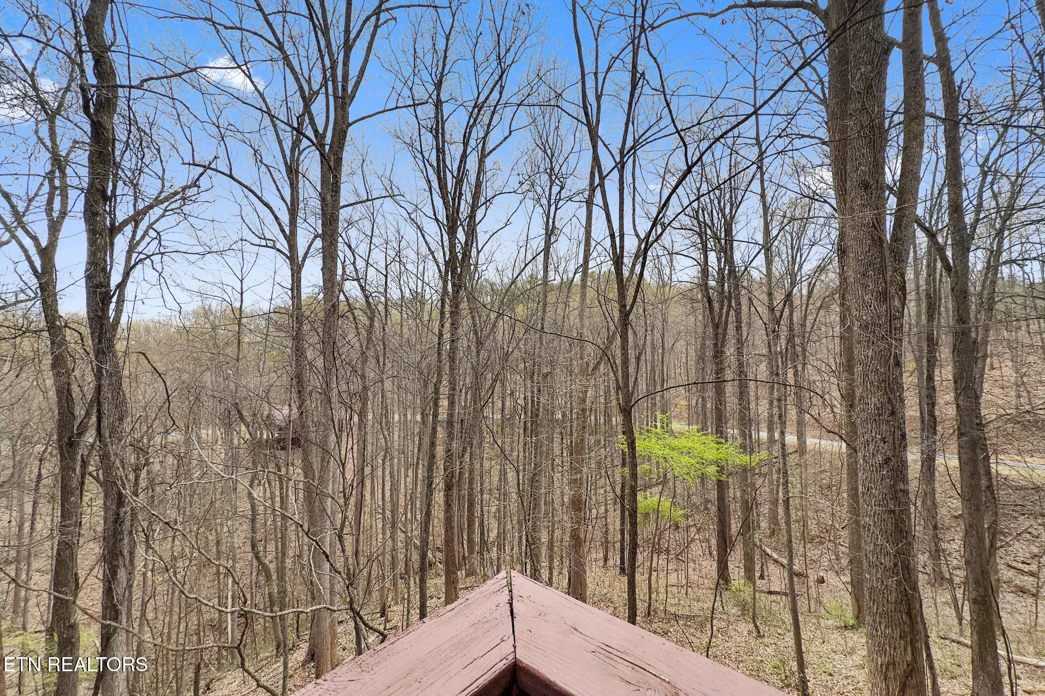 3175 Emerald Springs Loop Sevierville TN 37862